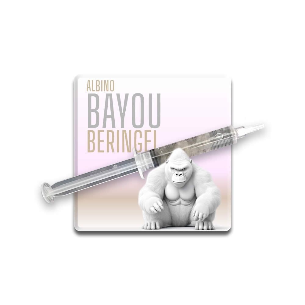 Albino Bayou Beringei