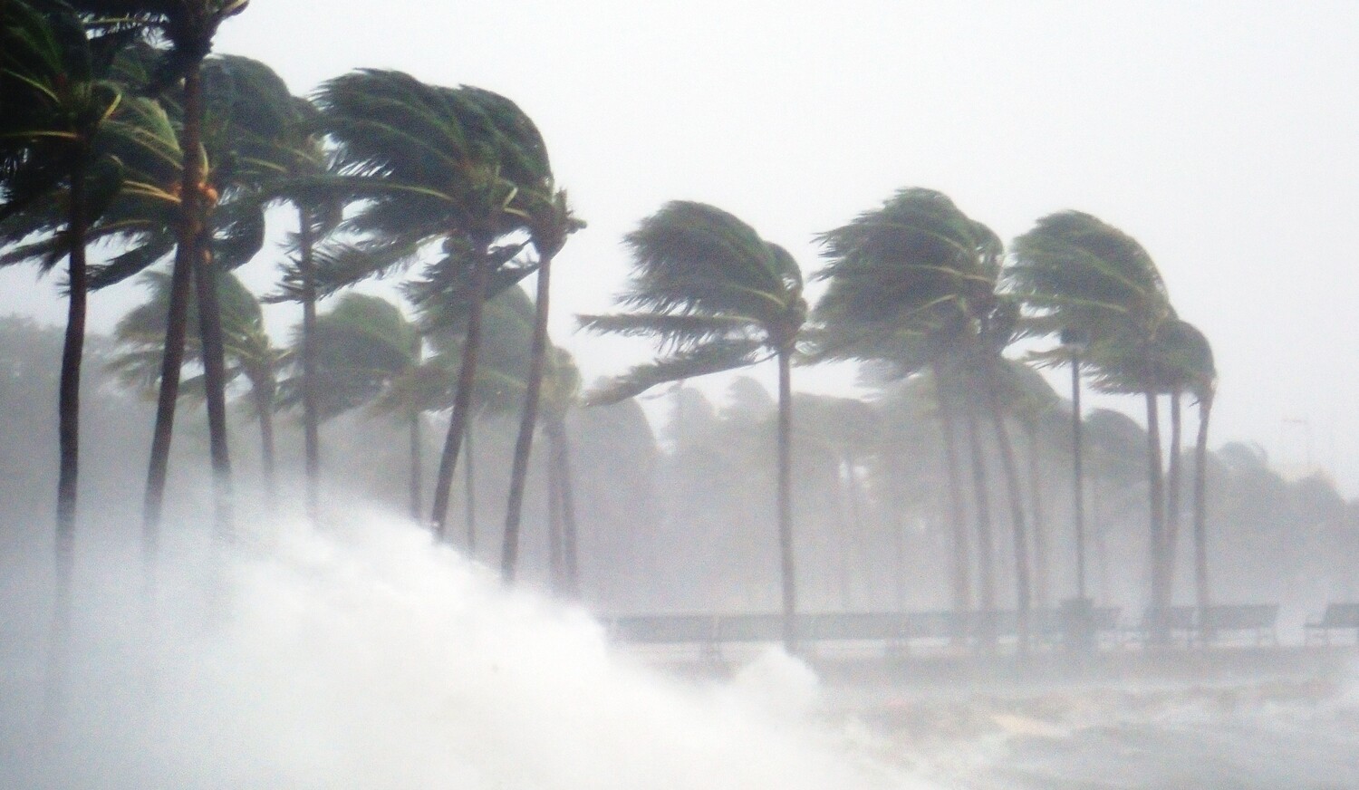 Principles of Emergency Management and Best Practices - August 22 and 23, 11 am ET/8 am PT to 3:30 PM ET/12:30 PM PT BOTH DAYS