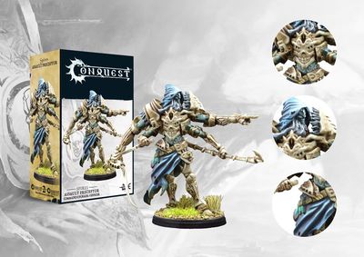 Conquest: Spires Assault Preceptor