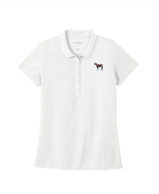 Ladies Pride Flag Horse Polo