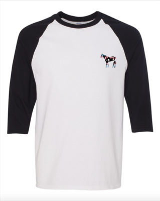 Pride Flag Horse Baseball Tee