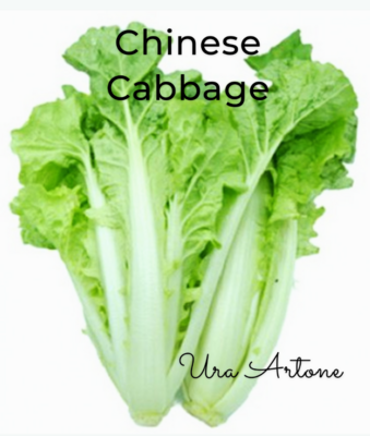 2000 seeds of Chinese cabbage