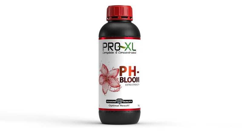 PR XL PH - BLOOM  1 LTR