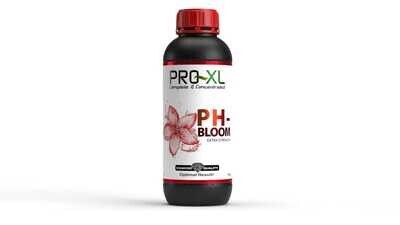PR XL PH - BLOOM  1 LTR
