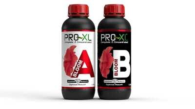 PRO XL BLOOM A I B 1 LTR