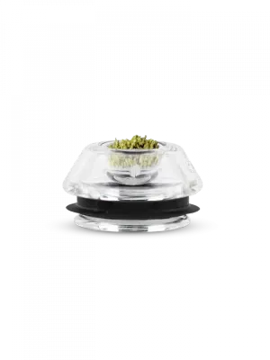 PUFFCO PROXY FLOWER BOWL