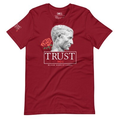 BLAAK SHEEYP LABEL TRUST NO 1 (MERINO) T SHIRT COLLECTION (CARDINAL)