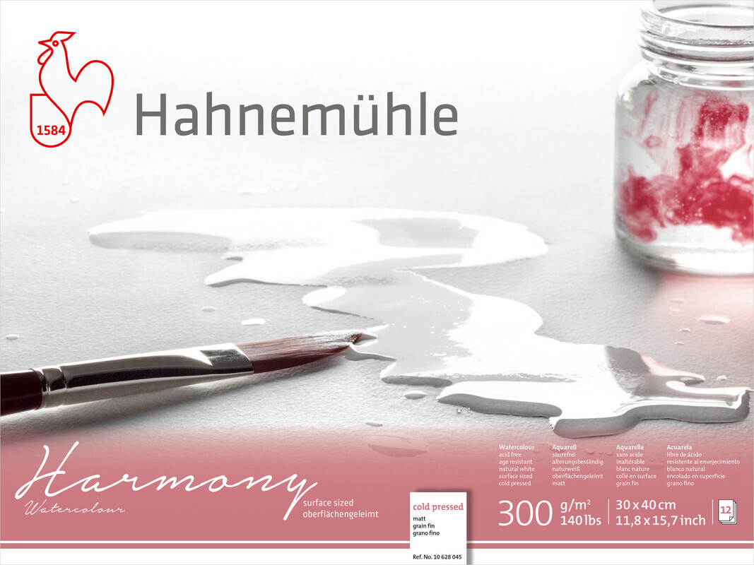 Block Hahnemühle Harmony 300g Cold 30 x 40cm 12 Hojas