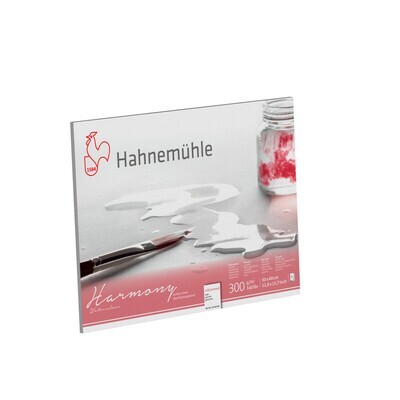 Block Hahnemuhle Harmony 300, grano fino, 30 x 40 cms