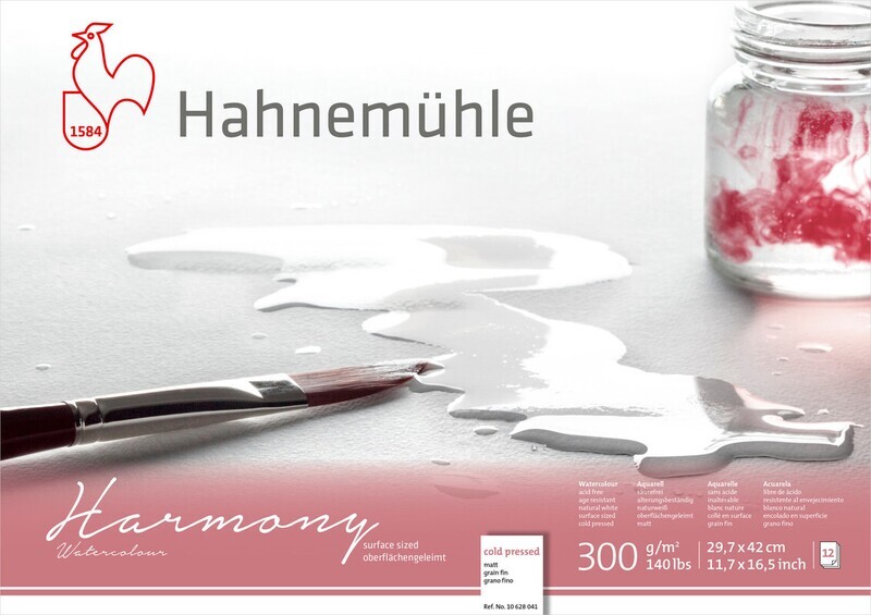 Block Hahnemühle Harmony 300g Cold A3 12 Hojas