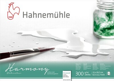 Block Hahnemühle Harmony 300g HOT A4 12 Hojas