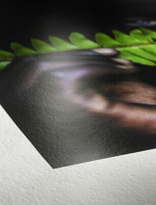 Bobina Papel Hahnemuhle Inkjet Photo Rag Pearl 320g 44 Pulgadas x 12 Metros