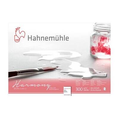 Block Hahnemühle Harmony 300g Cold 10 x 14cm 12 Hojas