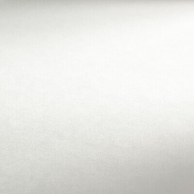 Cartulina Hahnemuhle Bristol 920 gramos 50 x 65 cms, 25 pliegos
