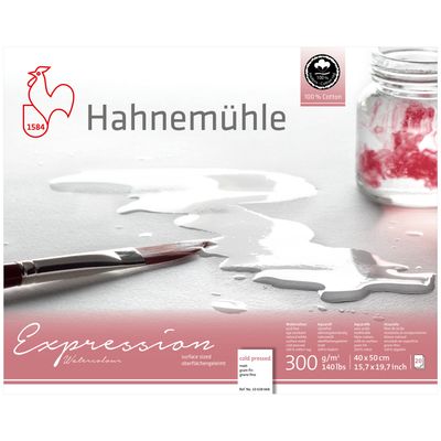 Block Hahnemuhle Expression 300 gr., 100% algodon, 40 x 50 cms