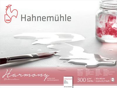 Block Hahnemühle Harmony 300g Cold 30 x 40cm 12 Hojas