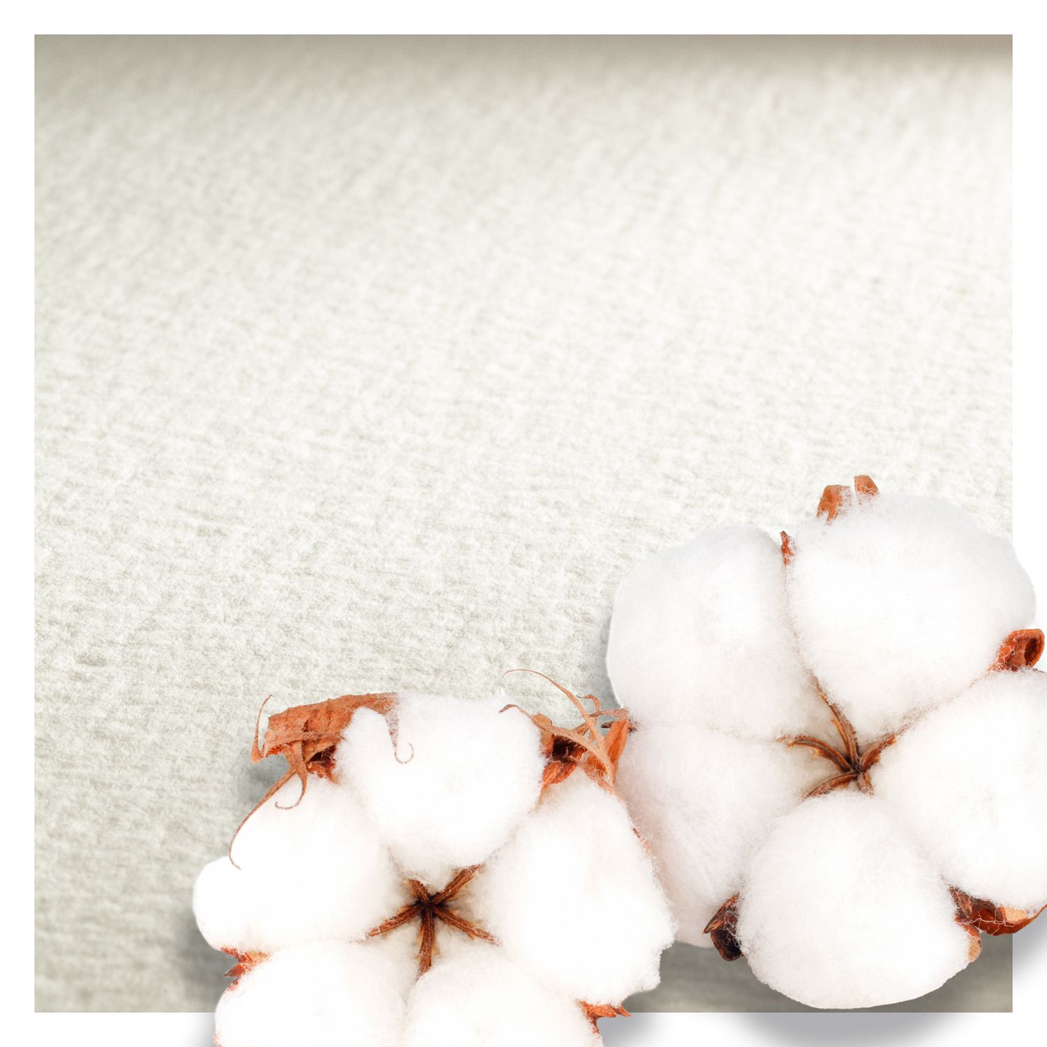 Cartulina Hahnemuhle The Collection 640, grano grueso, 56 x 76 cms, 5 pliegos