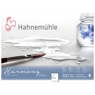 Block Hahnemuhle Harmony 300 gramos, Rough, 9 x 12&quot;