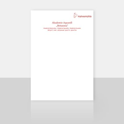 Cartulina Hahnemuhle Britannia Cold Pressed 70 x 100cms, 300 gr.