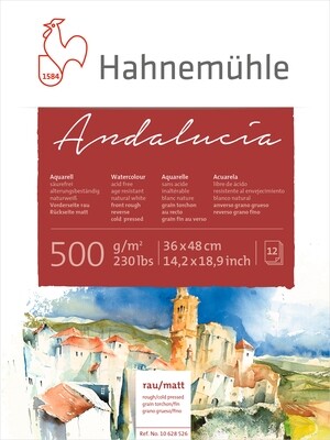 Block Hahnemuhle Andalucia 500 gramos 36 x 48cms