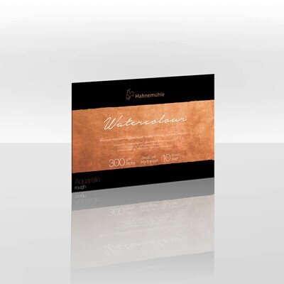 Block Hahnemuhle Collection 300 gr. grano grueso, 24 x 32 cms