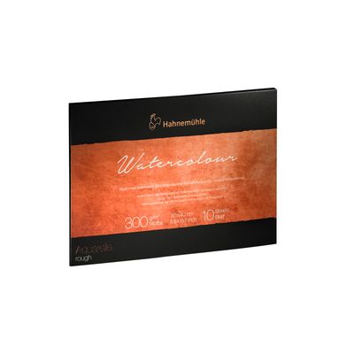 Block Hahnemuhle Collection 300 gr. grano grueso, 30 x 40 cms