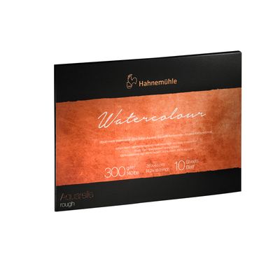 Block Hahnemuhle Collection 300 gr. grano grueso, 36 x 48 cms