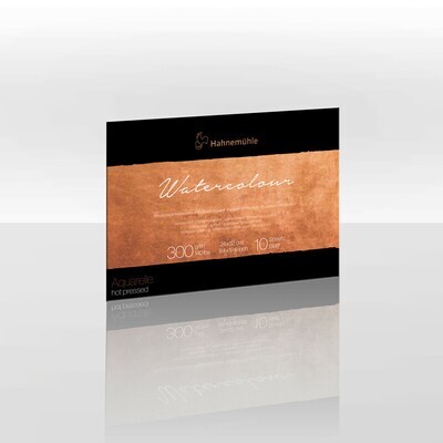 Block Hahnemuhle Collection 300 gr. grano satinado, 24 x 32cms