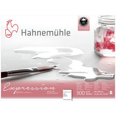 Block Hahnemuhle Expression 300 gr., 100% algodon, 30 x 40 cms