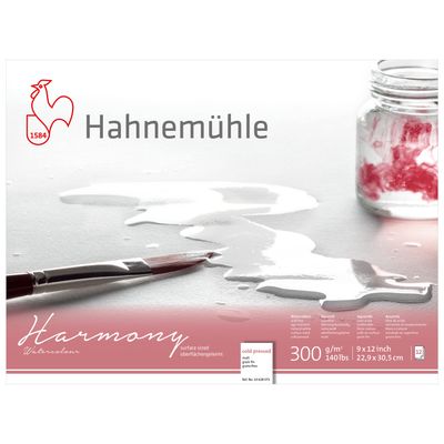 Block Hahnemuhle Harmony 300, grano fino, 9 x 12"