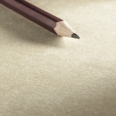 Cuaderno Hahnemuhle Sketch Book Kraft 120g A5 80 Hojas