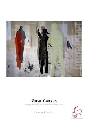 Papel fotografico Hahnemuhle Inkjet Photo Canvas Goya, 340gramos, 44 pulgadas x 12 metros