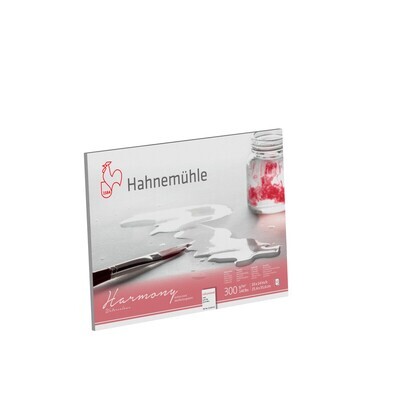 Block Hahnemuhle Harmony 300, grano fino, 10 x 14"