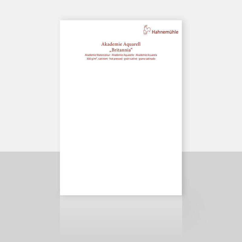 Cartulina Hahnemuhle Britannia, grano satinado, 50 x 65 cms, 10PK