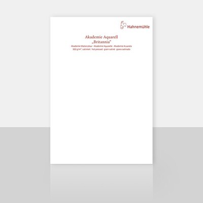 Cartulina Hahnemuhle Britannia Hot Pressed 50 x 65 cms, 300 gr.