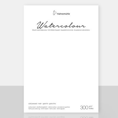 Cartulina Hahnemuhle Collection 300 gr. grano fino, 56 x 76 cms, 10 pliegos