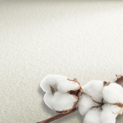 Cartulina Hahnemuhle Collection 300 gr. grano fino, 56 x 76 cms, 10 pliegos