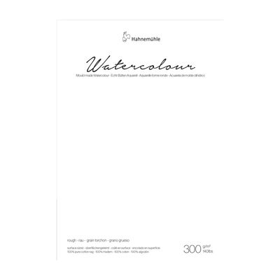 Cartulina Hahnemuhle Collection 300 gr. grano grueso, 56 x 76cms, 10 pliegos