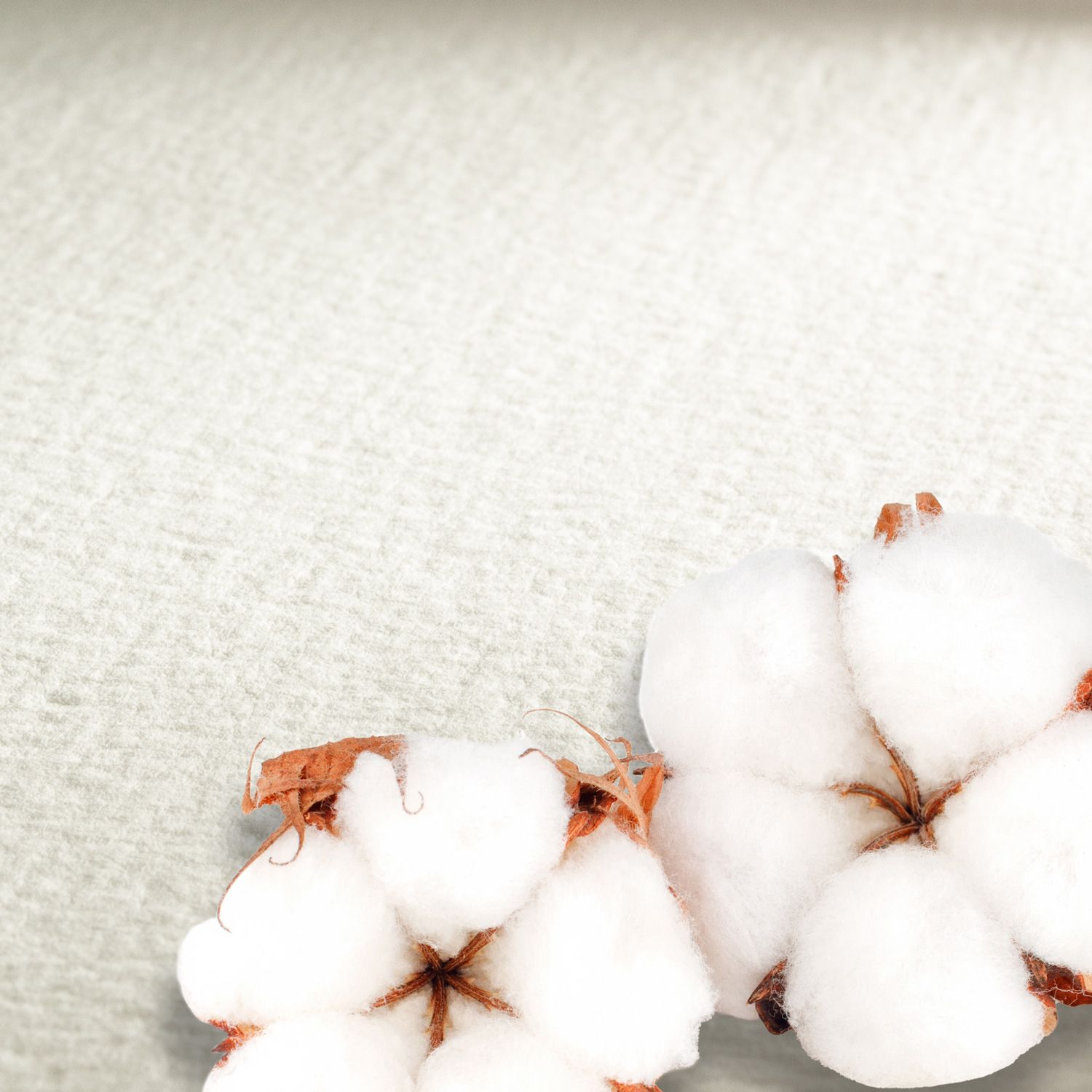 Cartulina Hahnemuhle Collection 300 gr. grano grueso, 56 x 76cms, 10 pliegos