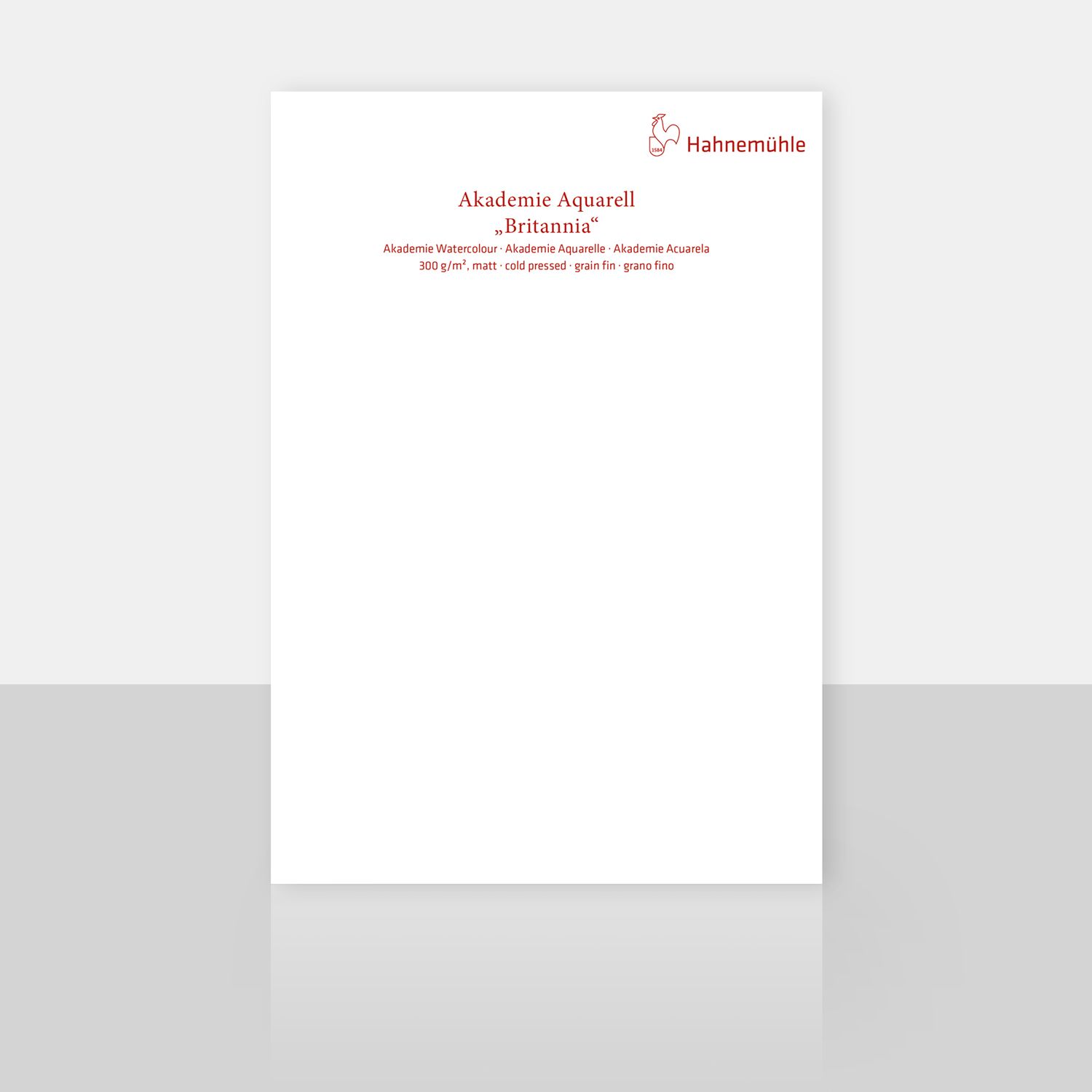 Cartulina Hahnemuhle Britannia, grano fino 70 x 100 cms, 10PK