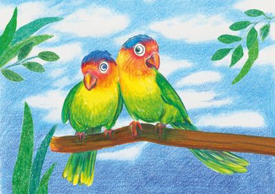 Lapiz Faber Castell Triangular 12 Colores + Sacapuntas