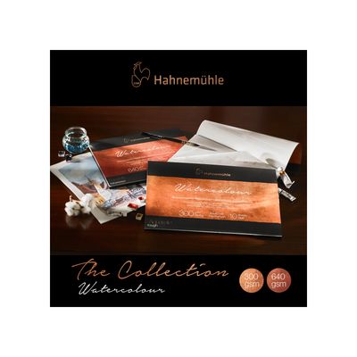 Cartulina Hahnemuhle Collection 640 gr. grano grueso, 56 x 76 cms, 5 pliegos