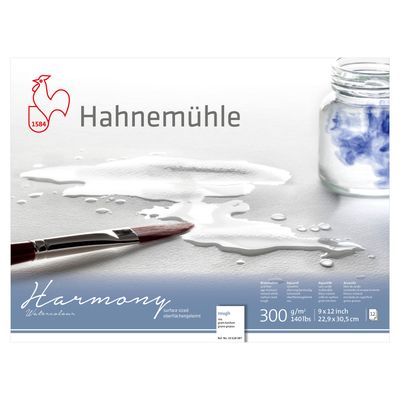 Block Hahnemuhle Harmony 300, grano grueso, 9 x 12"