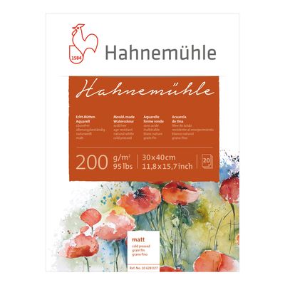 Block Hahnemuhle 200 grano fino, 30 x 40cms