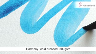 Block Hahnemuhle Harmony 300 Espiral, grano fino, A3
