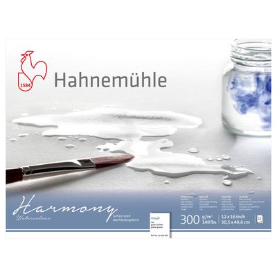 Block Hahnemuhle Harmony 300, grano grueso, 12 x 16"