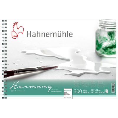Block Hahnemuhle Harmony 300 Espiral, grano satinado, A3