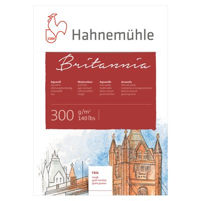 Cartulina Hahnemuhle Britannia 300 gr. grano grueso, 50 x 65 cm, 10PK