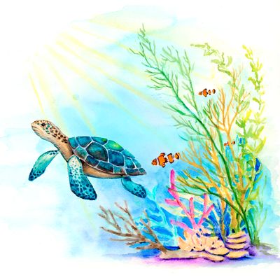 Lapiz Faber Castell Goldfaber Aqua 24 Colores Caja de Carton