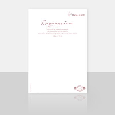Cartulina Hahnemuhle Expression 70 x 100 cms, 100% algodon, 300 gr., 10PK